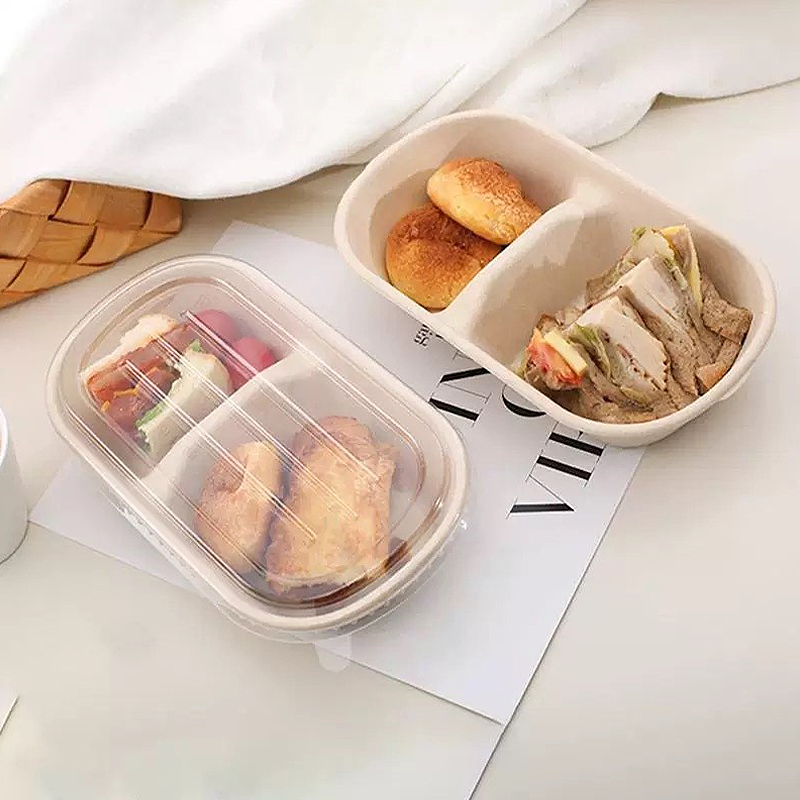 10/50PCS 일회용 테이크 아웃 상자 도시락 상자  - Meal Prep Bowl 리뷰 및 가격